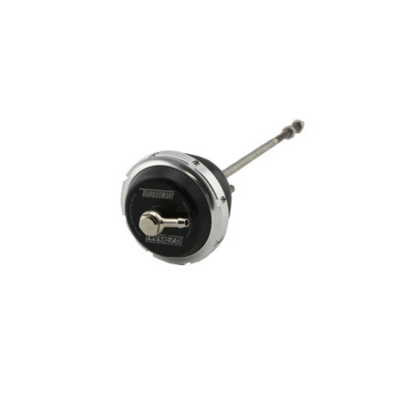 IWG75 BorgWarner TP B2 Single/Twin Scroll 26 PSI