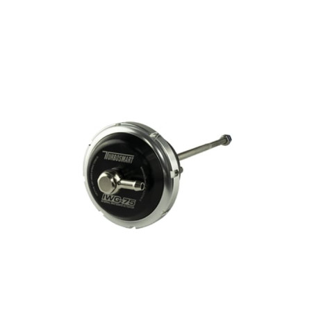 IWG75 Borg Warner B3 160mm Rod Black 14 PSI
