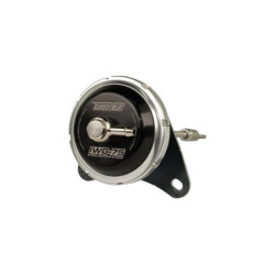 IWG75 Camaro 2.0LT 7psi