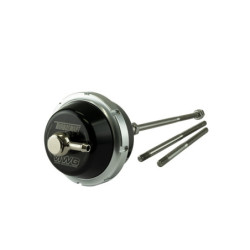 VIWG Borg Warner Wastegate...