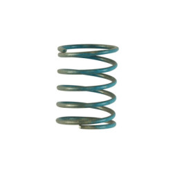 57mm Vacuum Spring 6 inhg