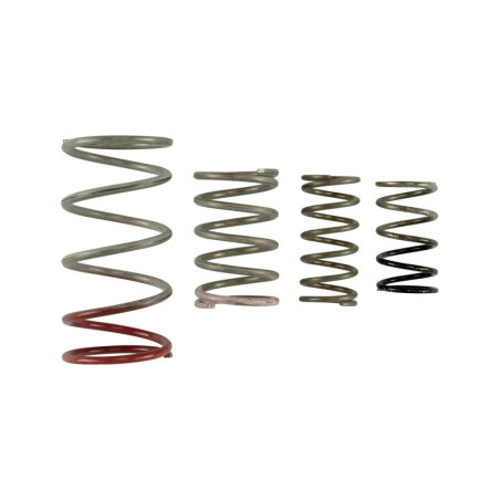 GenV IWG Spring Replacement Kit