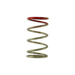 GenV IWG 14 PSI Spring
