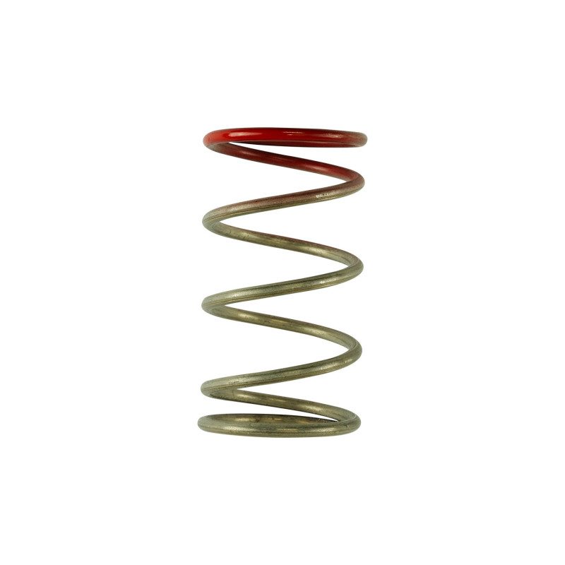 GenV IWG 14 PSI Spring