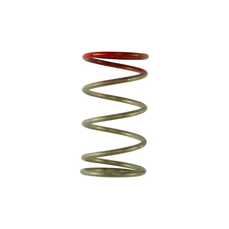 GenV IWG 14 PSI Spring