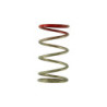 GenV IWG 14 PSI Spring