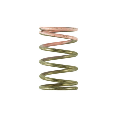 GenV IWG 7 PSI Spring