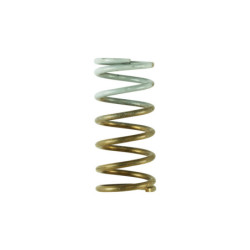 GenV IWG 5 PSI Spring