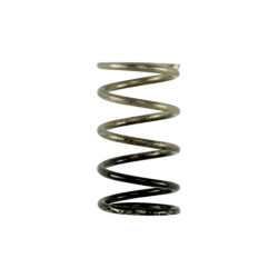 GenV IWG 3 PSI Spring