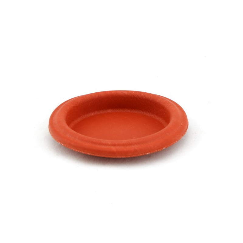 IWG75 Diaphragm Replacement