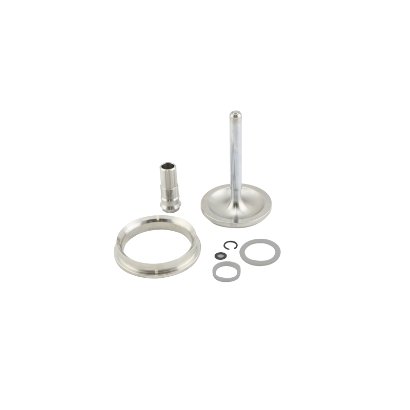 Gen-V WG60 Valve & Guide Set