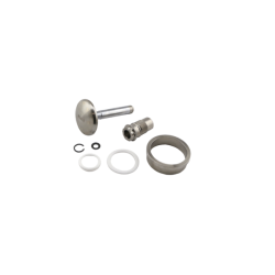 Gen-V WG45 Valve & Guide Set