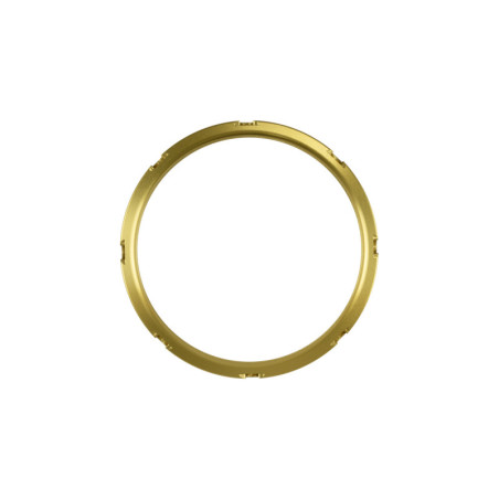 GenV WG45/50 Actuator and ProPort Collar Gold