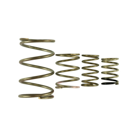 GenV WG38/40 Spring Replacement Kit