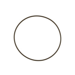 WG60 Actuator Cap O-Ring