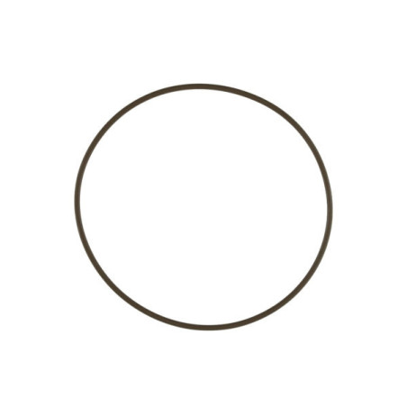 WG60 Actuator Cap O-Ring