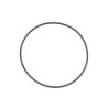 WG60 Actuator Cap O-Ring