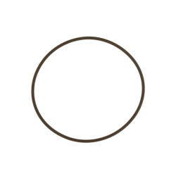 WG45/50 Actuator Cap O-Ring