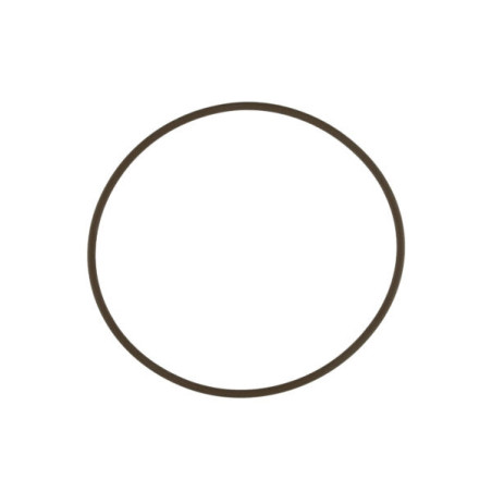 WG45/50 Actuator Cap O-Ring
