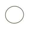 WG45/50 Actuator Cap O-Ring