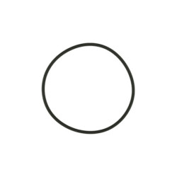 WG38/40 Actuator Cap O-Ring
