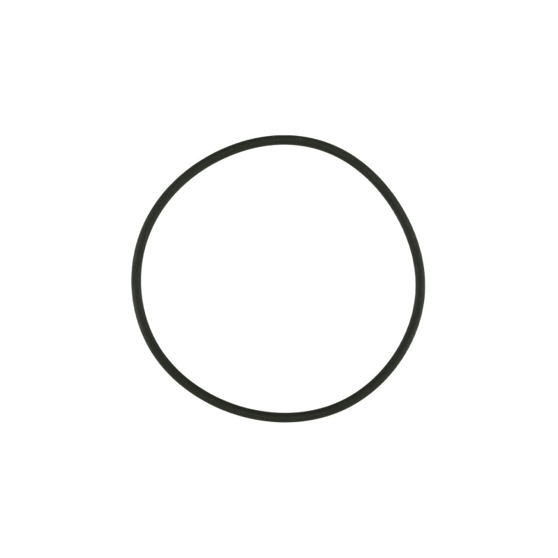 WG38/40 Actuator Cap O-Ring