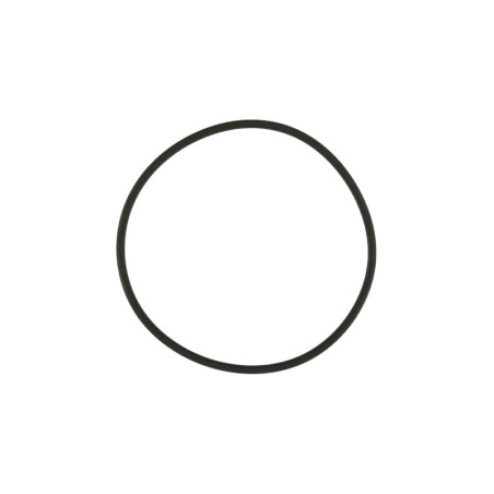 WG38/40 Actuator Cap O-Ring
