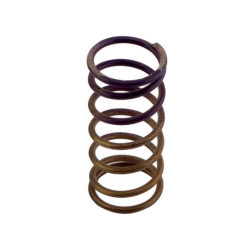 Gen-V WG60 5psi Purple...
