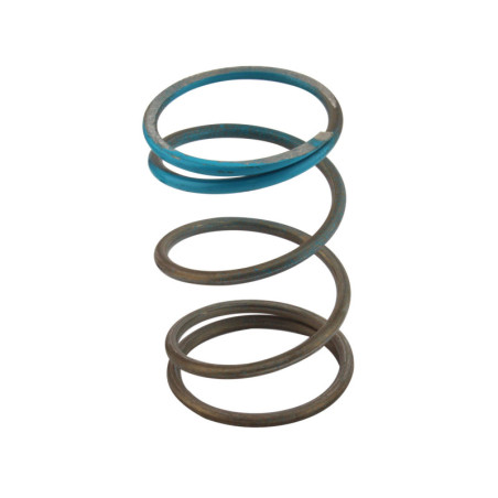 WG45/50 14psi Blue Outer Spring