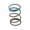 WG45/50 14psi Blue Outer Spring