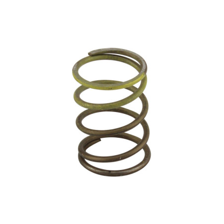 WG45/50 5psi Yellow Inner Spring