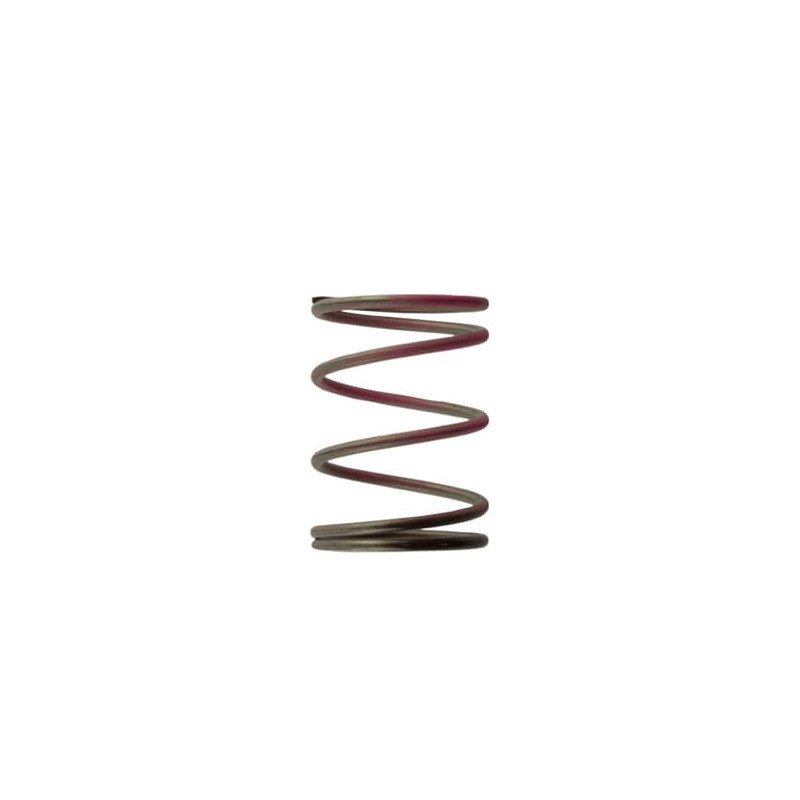 WG38/40/45 7PSI OUT SPRG-BN/PK