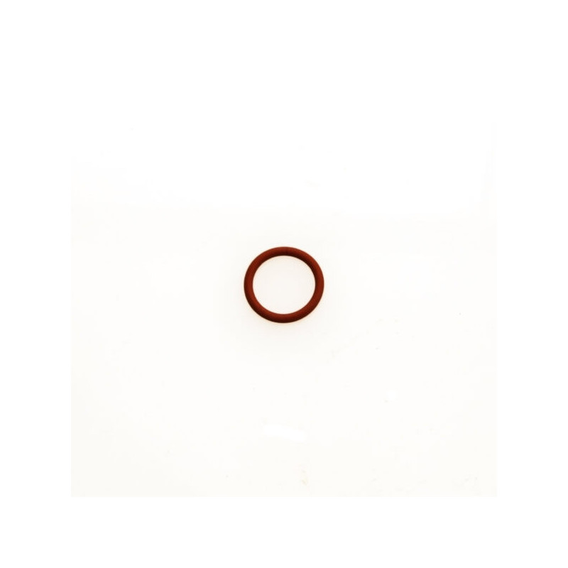 WG Valve Guide O Ring