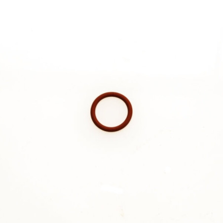 WG Valve Guide O Ring