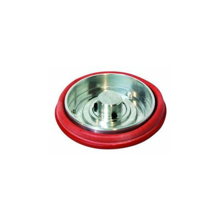 WG 50/60 Diaphragm Replacement