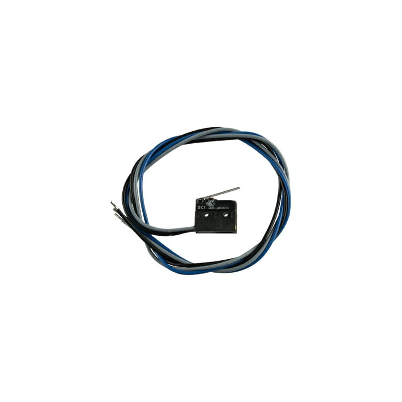 eB2 Microswitch