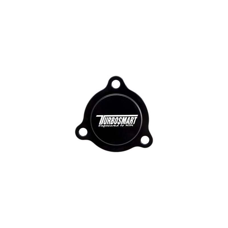 Mini R56 BOV Blanking Plate