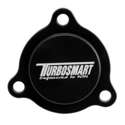 Mustang/Fiesta BOV Blanking...
