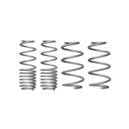 Coil Springs - Lowered