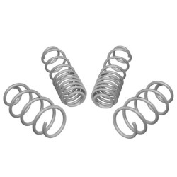 Coil Springs - Lowered