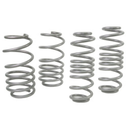 Coil Springs - Lowered