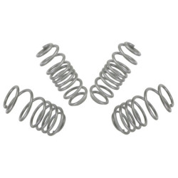 Coil Springs - Lowered