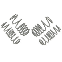 Coil Springs - Lowered