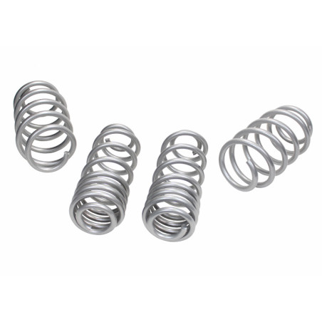 Coil Springs - Lowered