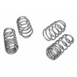 Coil Springs - Lowered
