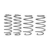 Coil Springs - Lowered