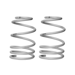 Coil Springs - Lowered