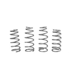 Coil Springs - Lowered