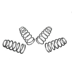Coil Springs - Lowered
