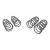 Coil Springs - Lowered